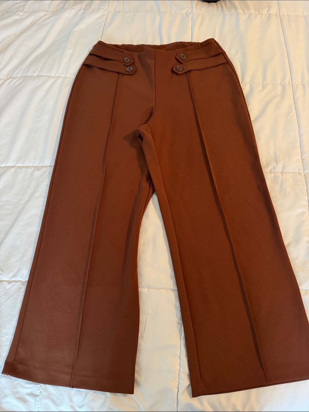 Cato Wide-Leg Pants in Chestnut